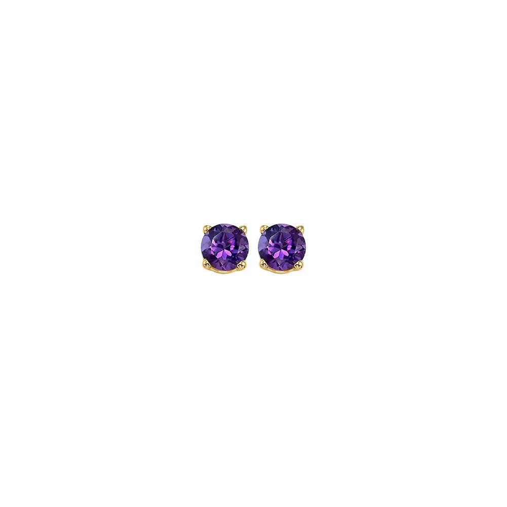 14Kt Yellow Gold Amethyst 1/5Ctw Earring