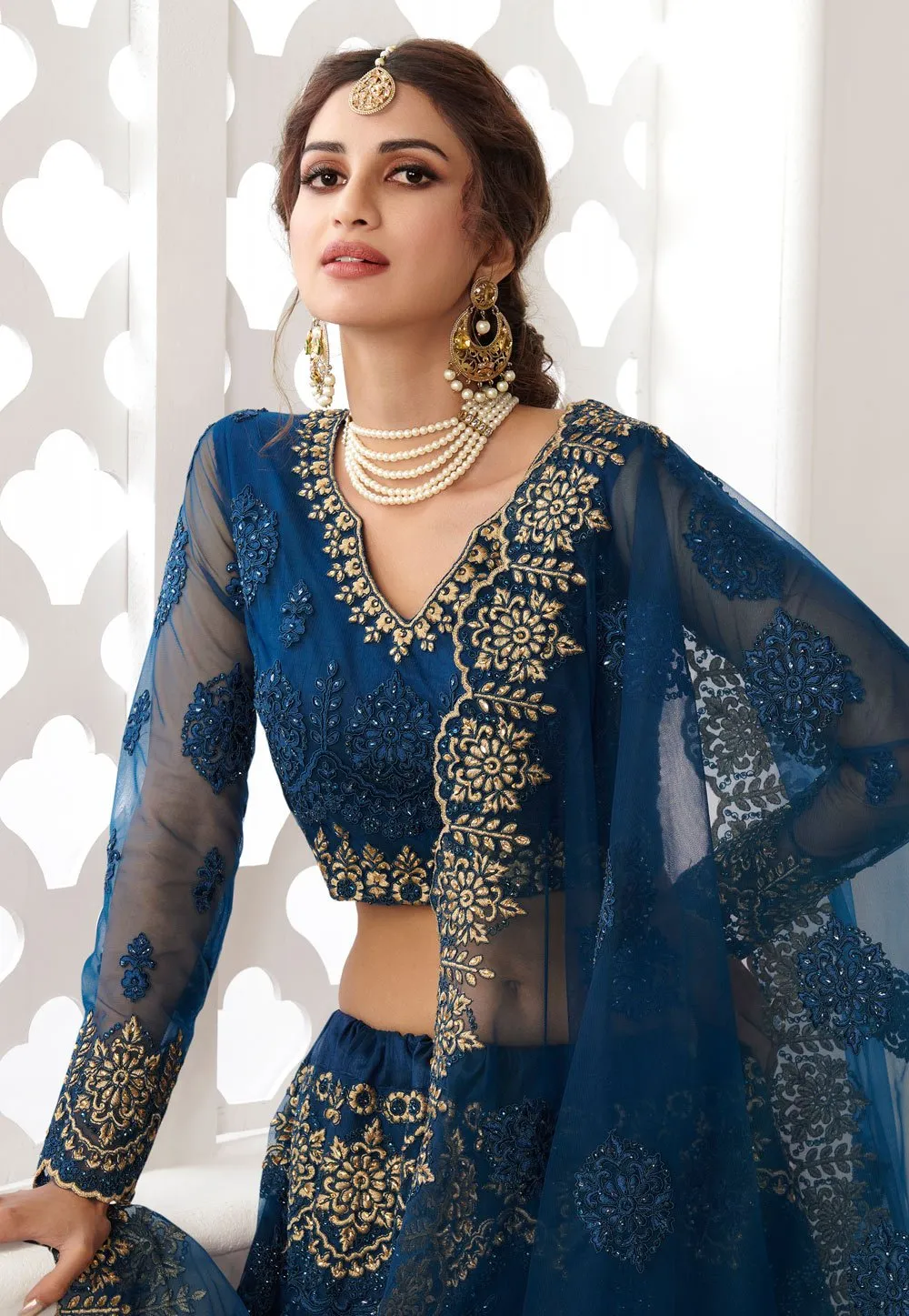 Blue Net Embroidered Wedding Lehenga Choli