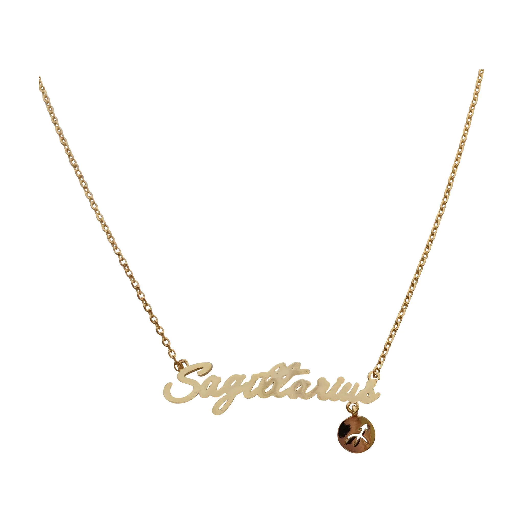 Leo Zodiac Necklace (silver)