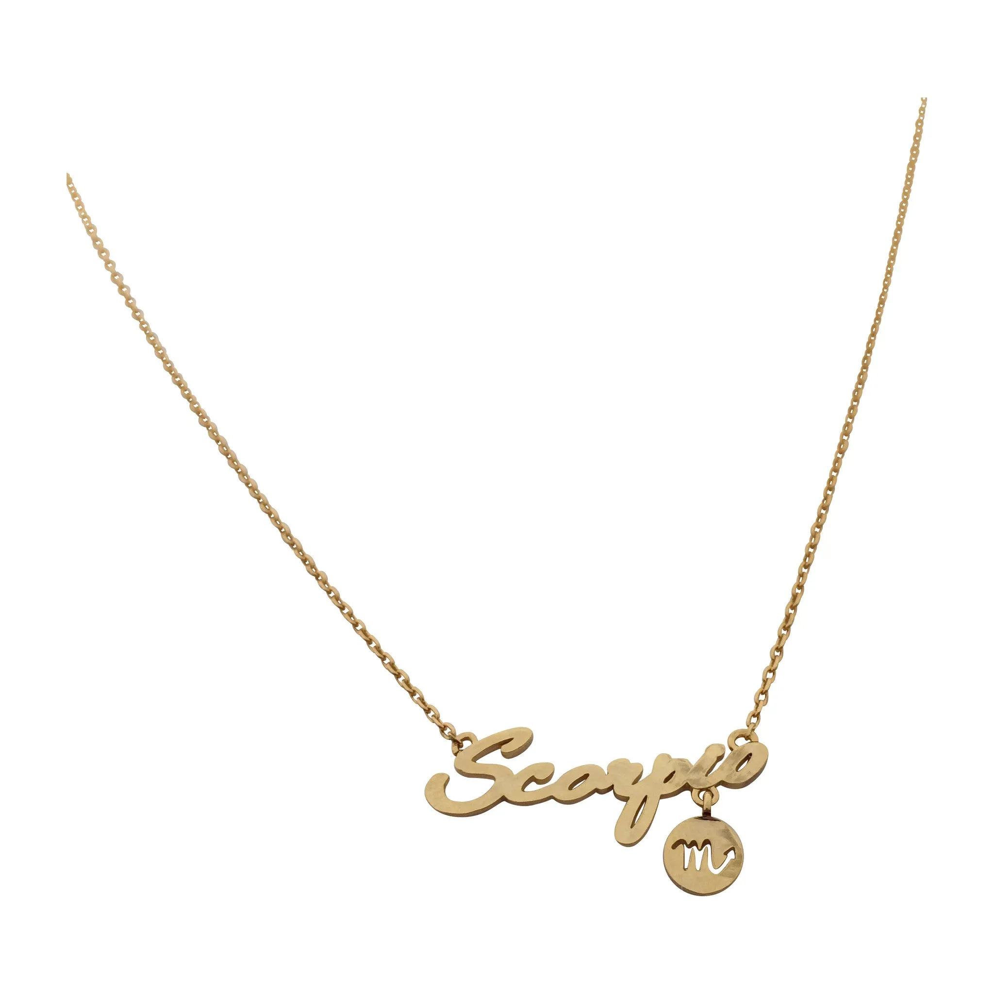 Leo Zodiac Necklace (silver)