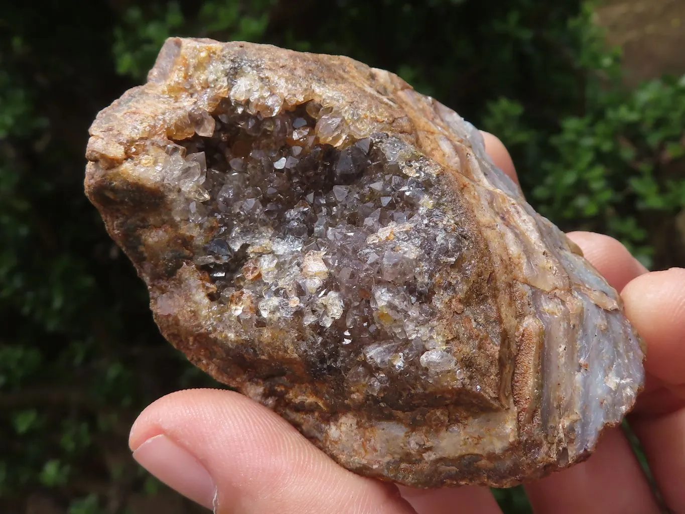 Natural Amethyst In Basalt Geode Specimens x 12 From Zululand, South Africa