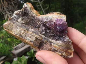 Natural Amethyst In Basalt Geode Specimens x 12 From Zululand, South Africa