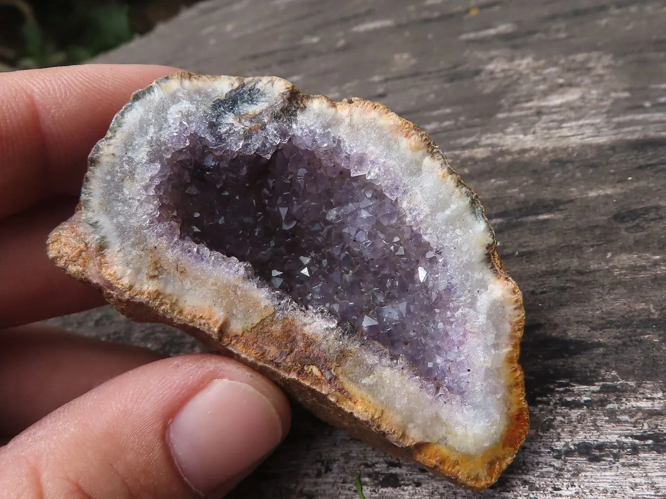 Natural Amethyst In Basalt Geode Specimens x 12 From Zululand, South Africa