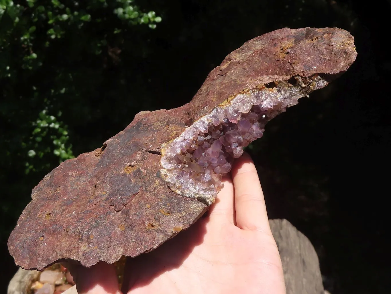 Natural Amethyst In Basalt Geode Specimens x 4 From Zululand, South Africa